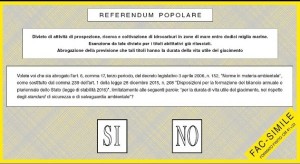 referendum1